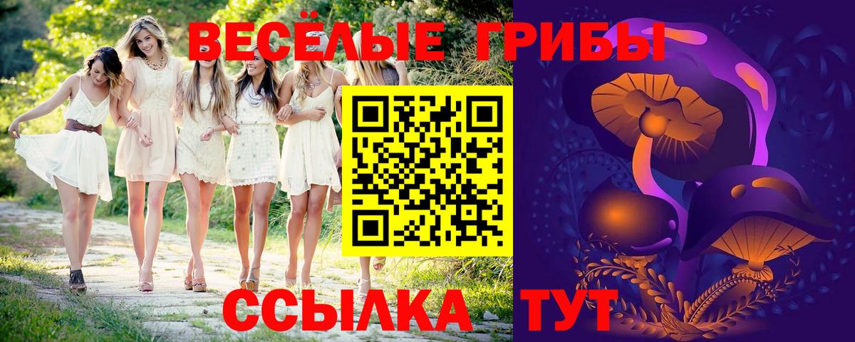 Псилоцибиновые грибы ЛСД Камень-на-Оби